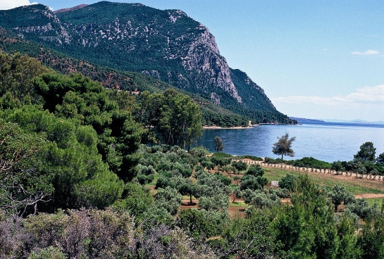 Limni auf Euböa, Griechenland